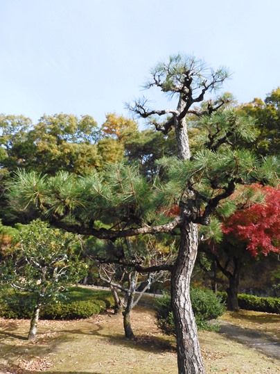 f:id:ushidama:20211213181554j:plain