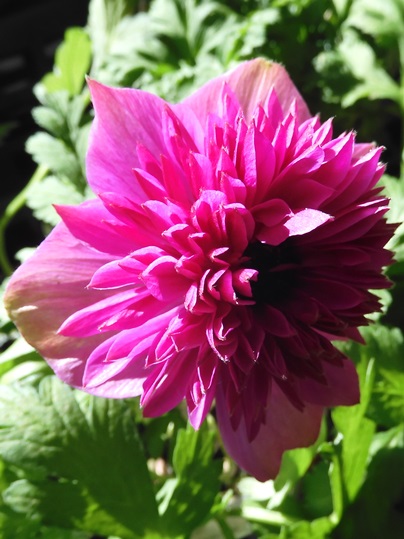f:id:ushidama:20211224212345j:plain