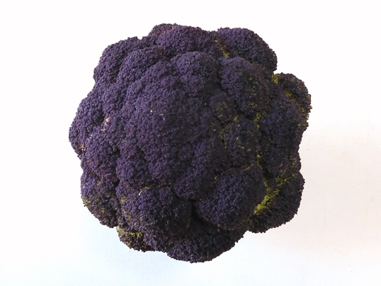 f:id:ushidama:20220111125945j:plain