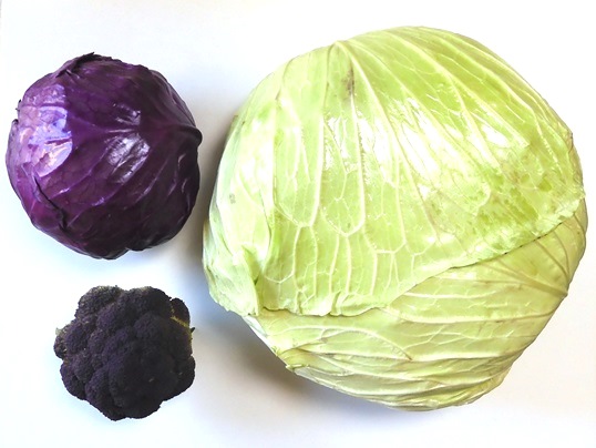 f:id:ushidama:20220111130009j:plain