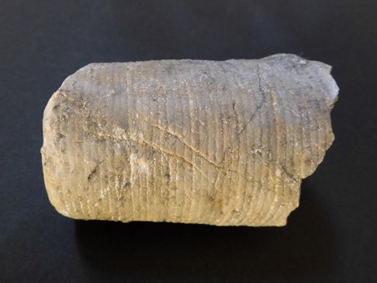 f:id:ushidama:20220121083107j:plain