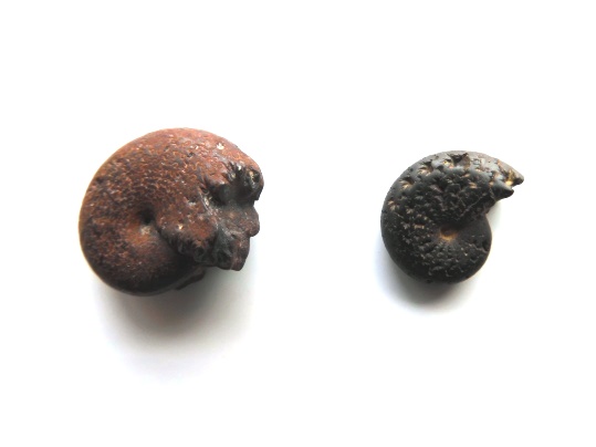 f:id:ushidama:20220123132907j:plain