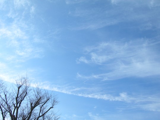 f:id:ushidama:20220128122620j:plain