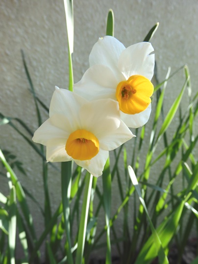 f:id:ushidama:20220128122703j:plain