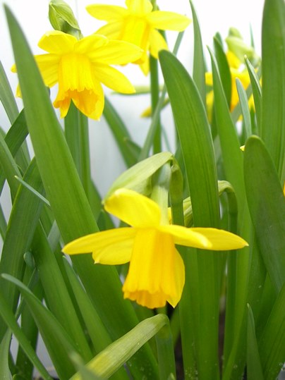 f:id:ushidama:20220128122718j:plain