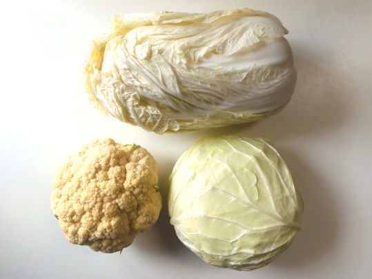 f:id:ushidama:20220302002226j:plain