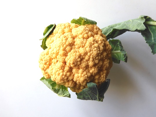 f:id:ushidama:20220302002248j:plain