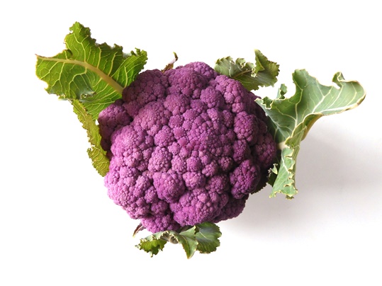 f:id:ushidama:20220302002311j:plain