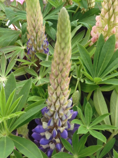 f:id:ushidama:20220328060945j:plain