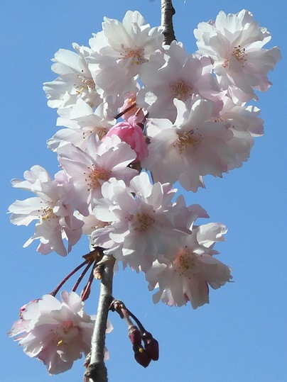 f:id:ushidama:20220406222135j:plain