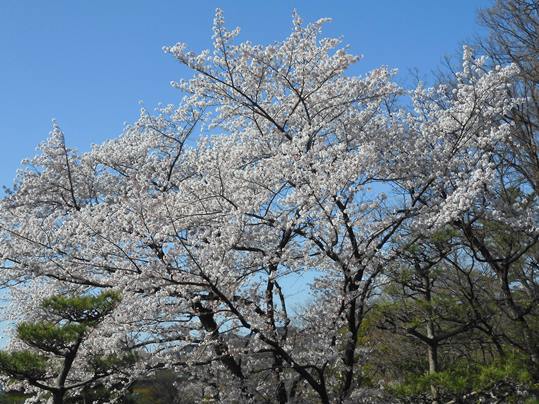 f:id:ushidama:20220406222226j:plain