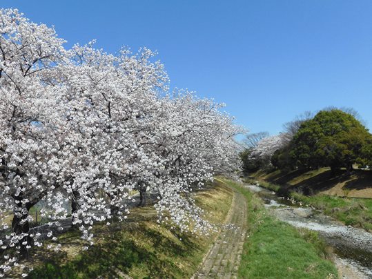 f:id:ushidama:20220406222239j:plain