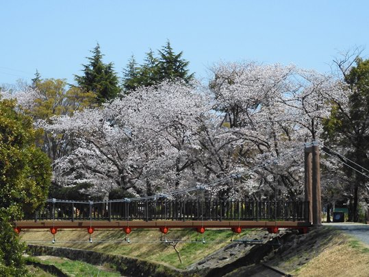 f:id:ushidama:20220406222255j:plain