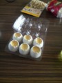 20100327152600