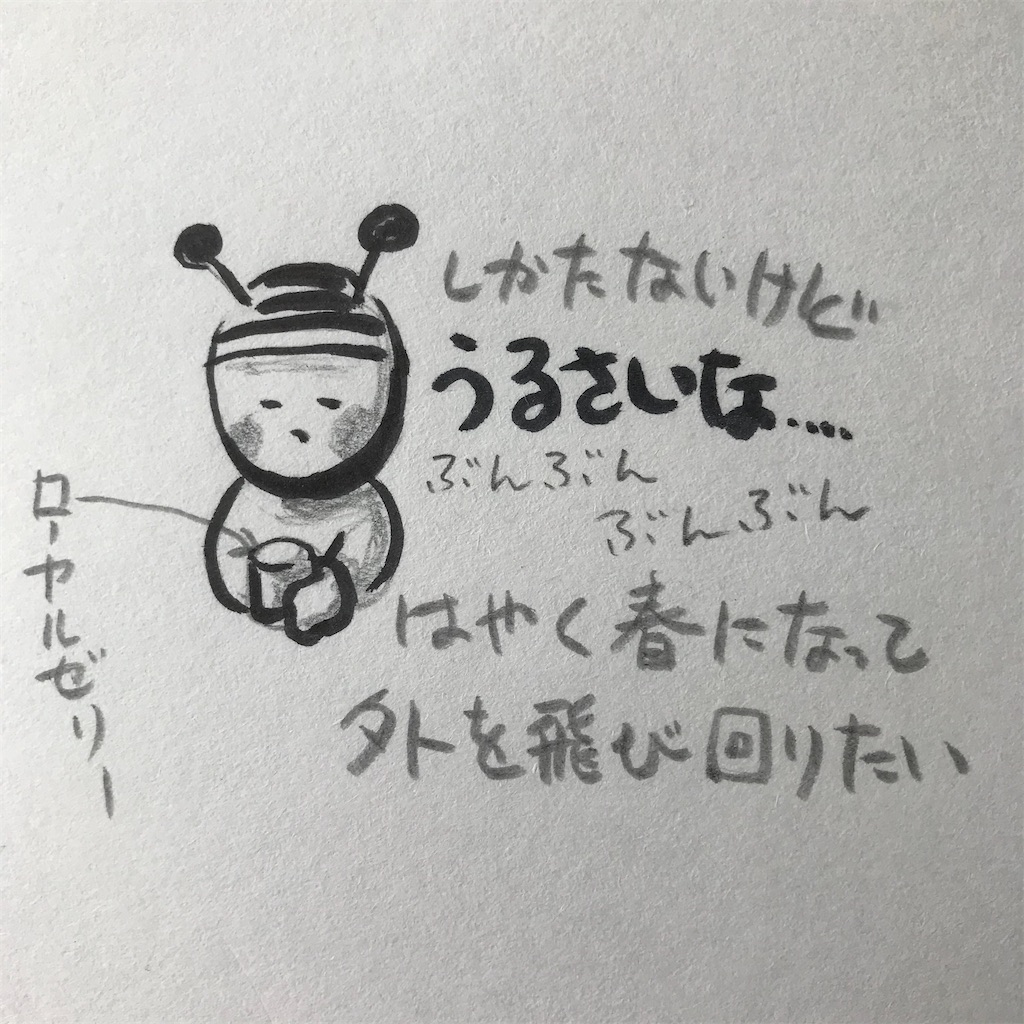 f:id:ushidayo3:20210208111813j:image
