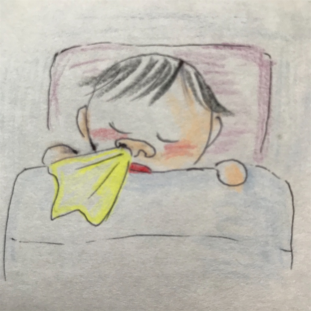 f:id:ushidayo3:20210516141024j:image