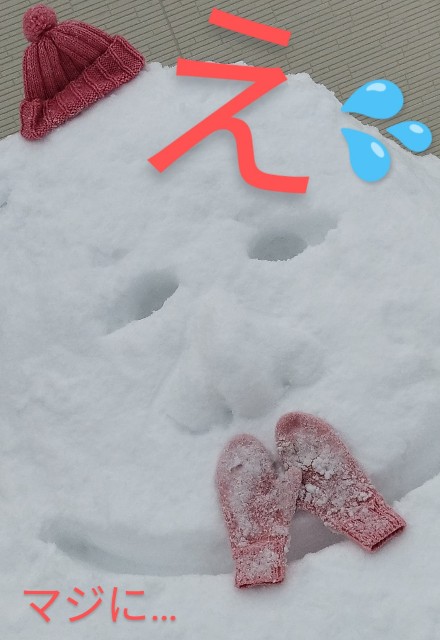 f:id:ushidayo3:20220205151426j:image f:id:ushidayo3:20220205151426j:image