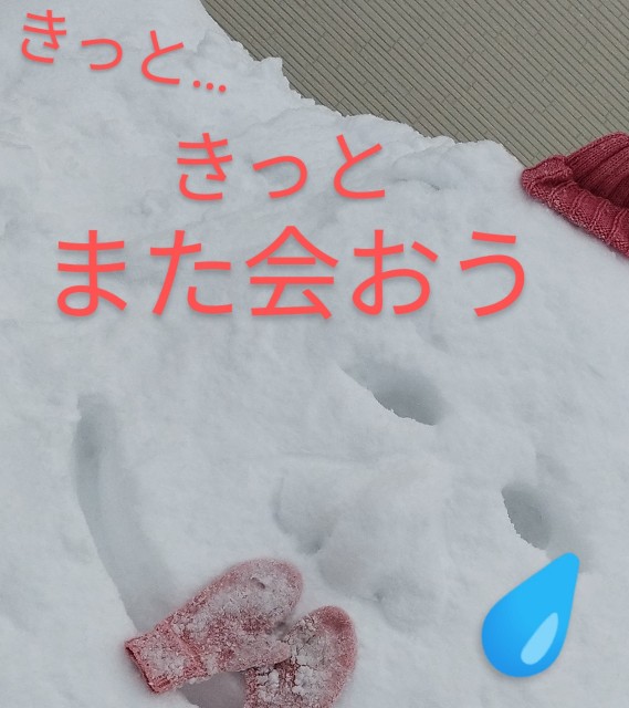 f:id:ushidayo3:20220205161611j:image f:id:ushidayo3:20220205161611j:image