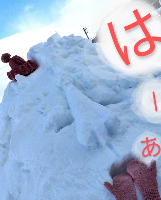 f:id:ushidayo3:20220205194756j:image f:id:ushidayo3:20220205194756j:image