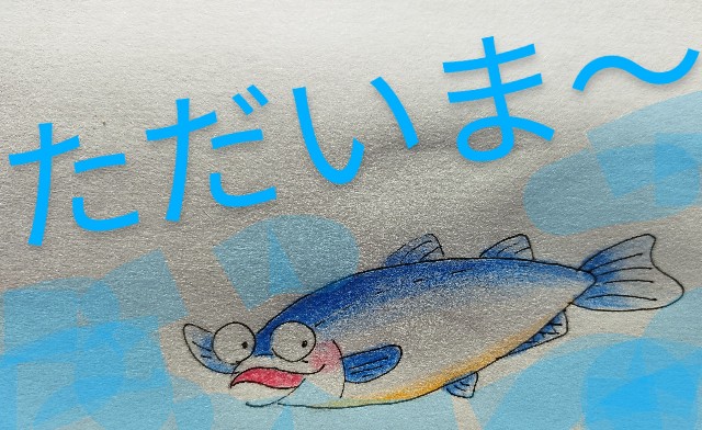 f:id:ushidayo3:20221123084153j:image f:id:ushidayo3:20221123084153j:image