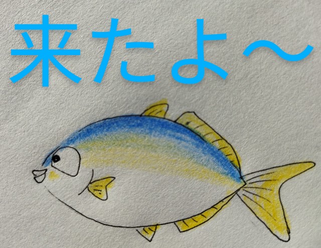 f:id:ushidayo3:20221123084313j:image f:id:ushidayo3:20221123084313j:image