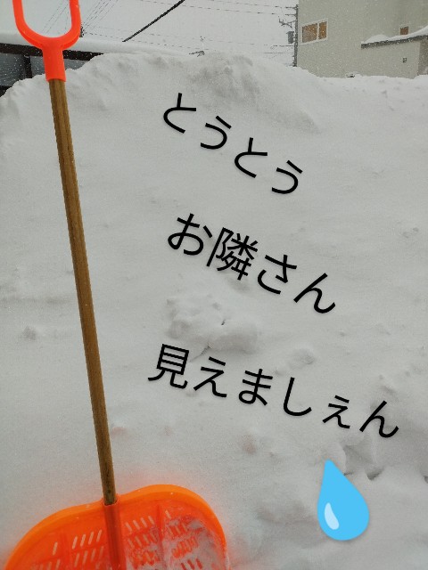 f:id:ushidayo3:20230121112918j:image f:id:ushidayo3:20230121112918j:image