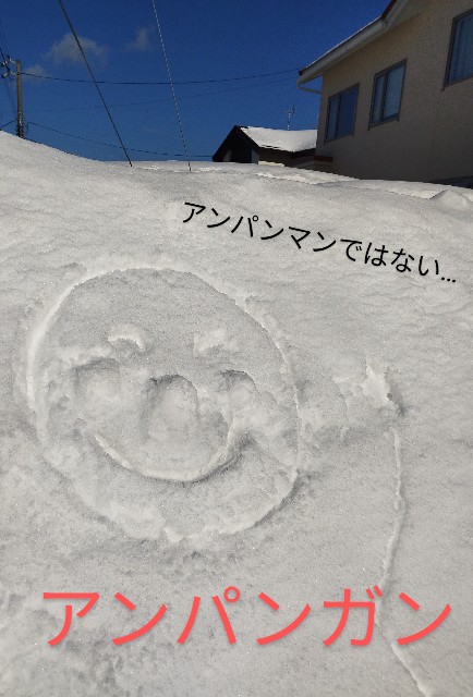 f:id:ushidayo3:20230207105228j:image f:id:ushidayo3:20230207105228j:image