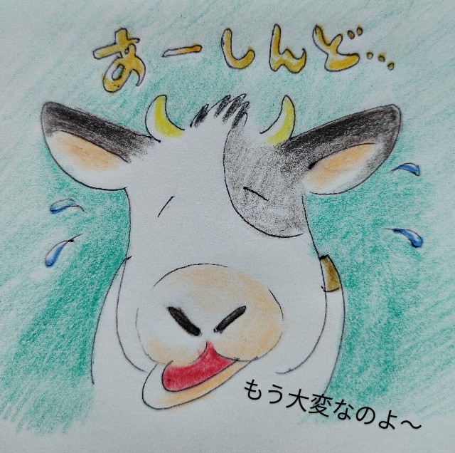 f:id:ushidayo3:20230219112031j:image f:id:ushidayo3:20230219112031j:image