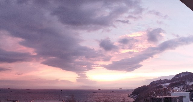 f:id:ushidayo3:20230316061124j:image