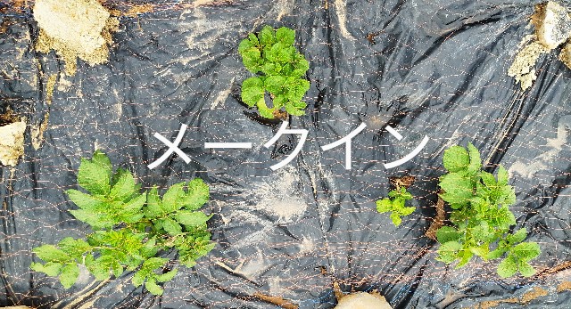 f:id:ushidayo3:20230608161346j:image f:id:ushidayo3:20230608161346j:image