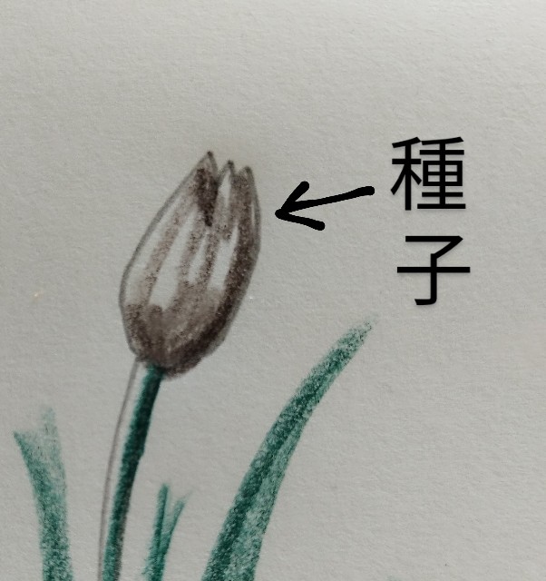 f:id:ushidayo3:20230623135404j:image f:id:ushidayo3:20230623135404j:image