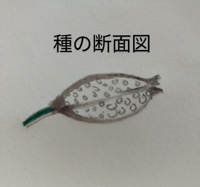 f:id:ushidayo3:20230623135430j:image f:id:ushidayo3:20230623135430j:image