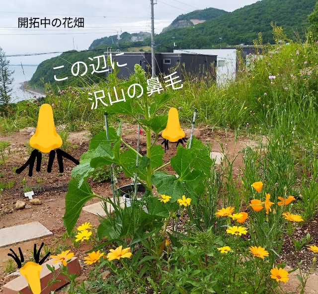 f:id:ushidayo3:20230623144422j:image f:id:ushidayo3:20230623144422j:image
