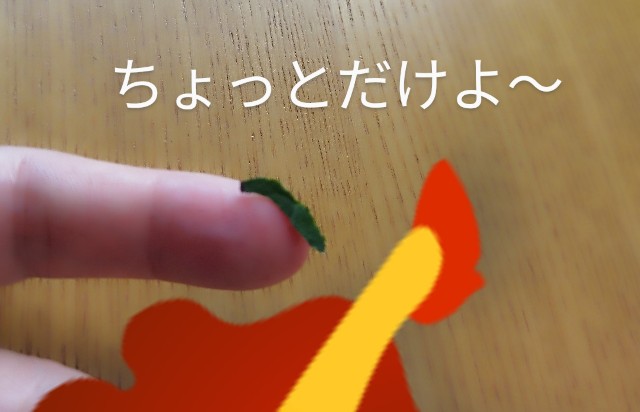 f:id:ushidayo3:20230629102448j:image