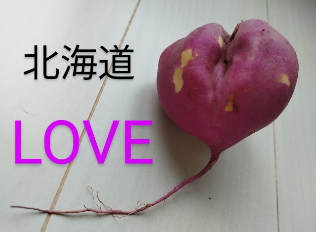 f:id:ushidayo3:20231006083521j:image f:id:ushidayo3:20231006083521j:image