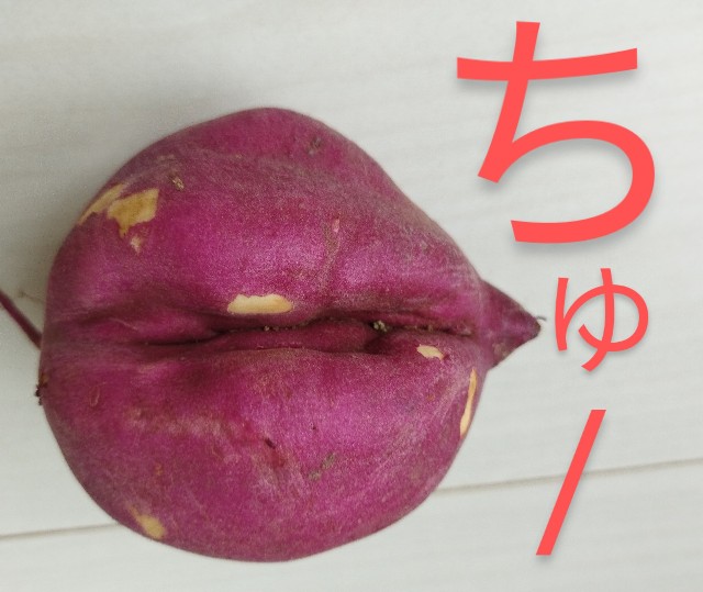 f:id:ushidayo3:20231006084827j:image f:id:ushidayo3:20231006084827j:image