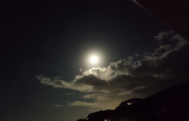 f:id:ushidayo3:20231006135328j:image f:id:ushidayo3:20231006135328j:image