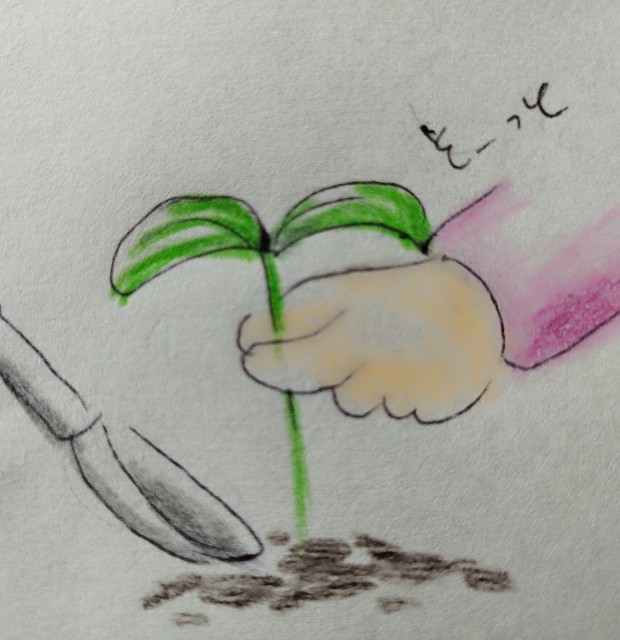 f:id:ushidayo3:20240513093952j:image f:id:ushidayo3:20240513093952j:image