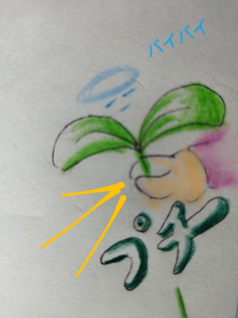 f:id:ushidayo3:20240513102550j:image f:id:ushidayo3:20240513102550j:image