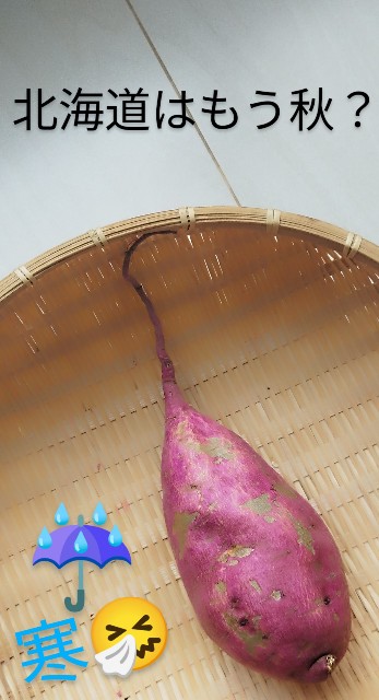 f:id:ushidayo3:20240927111501j:image f:id:ushidayo3:20240927111501j:image