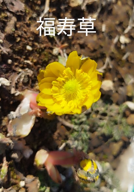 f:id:ushidayo3:20250412080221j:image