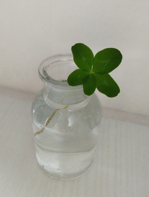 f:id:ushidayo3:20250617165854j:image