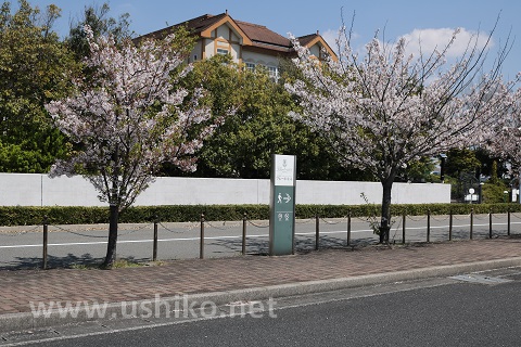 ブルーボネット駐車場