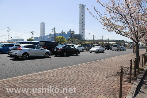 ブルーボネット駐車場はたくさんとめられる！