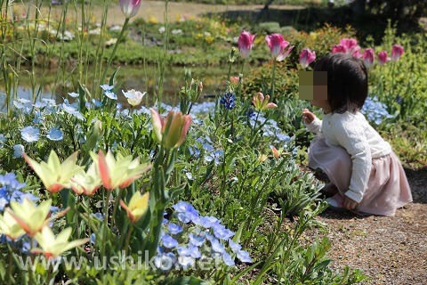 子どもの写真をしまうまプリントで安く現像しよう！