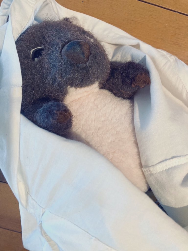 f:id:ushikubikuretake:20231225225444j:image