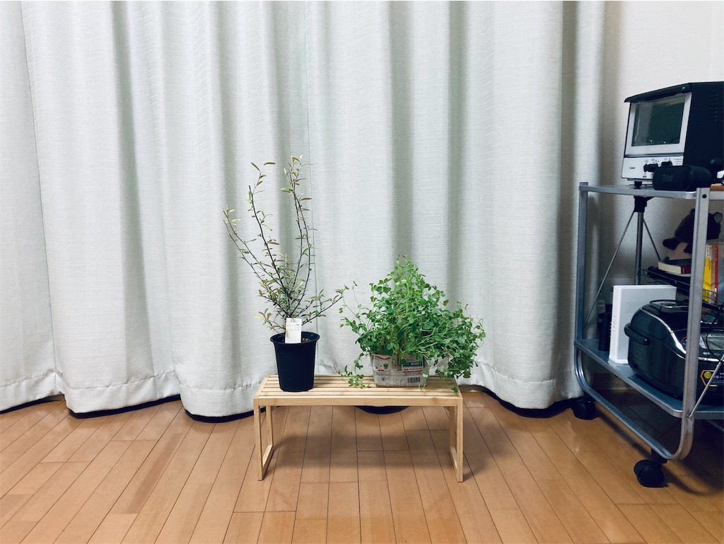 f:id:ushikubikuretake:20231225225621j:image
