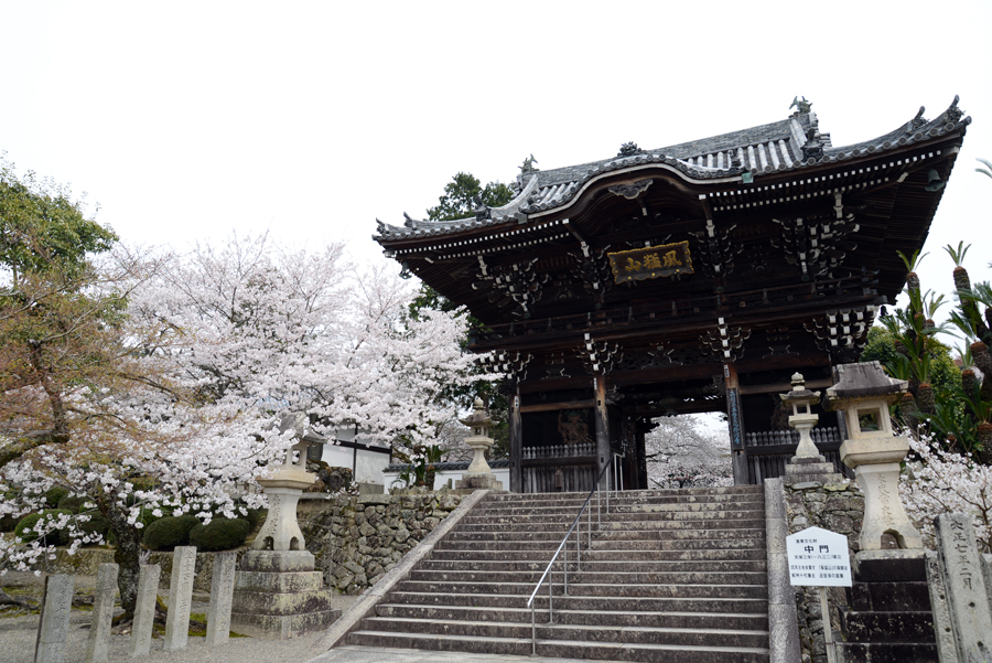 粉河寺