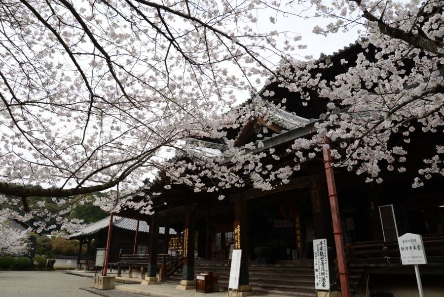 粉河寺