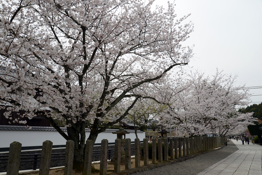 粉河寺